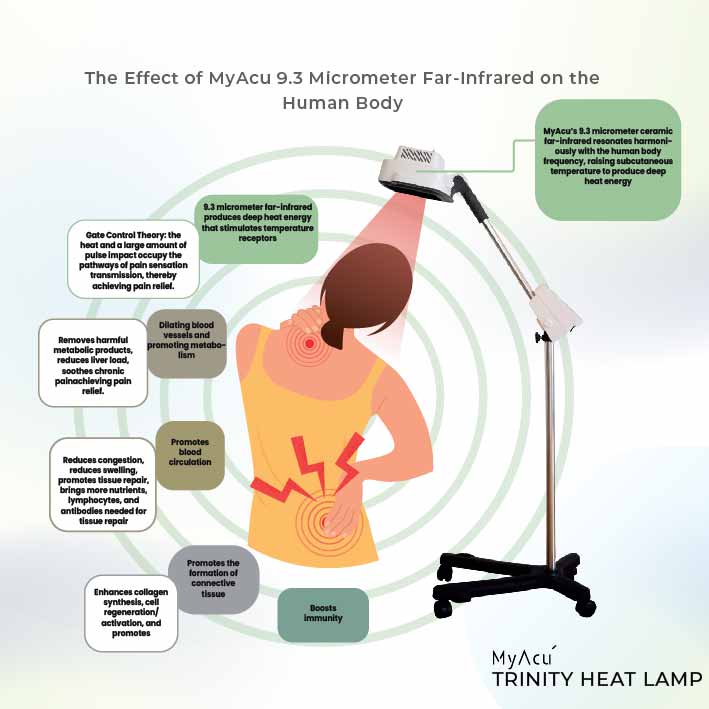 MyAcu Trinity Heat Lamp (3-in-1 - Ceramic Far-Infrared, Thermal Heat, Plasma Sterilization), 500Watt - Herbprime