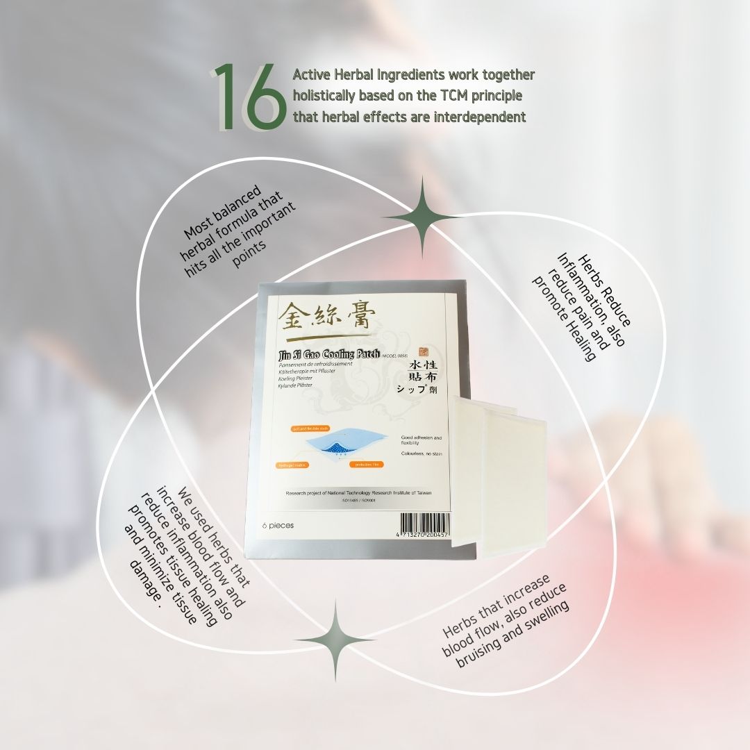 Jin Si Gao Cooling Plaster (6pc per pack) | Targeted Pain Relief | 16 Natural Herbal Active Ingredients - Herbprime