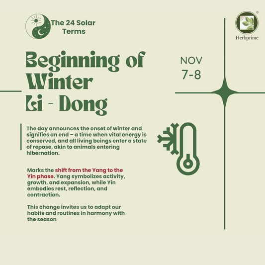 立冬 (lìdōng) Nov 7-8 - Embracing the Beginning of Winter