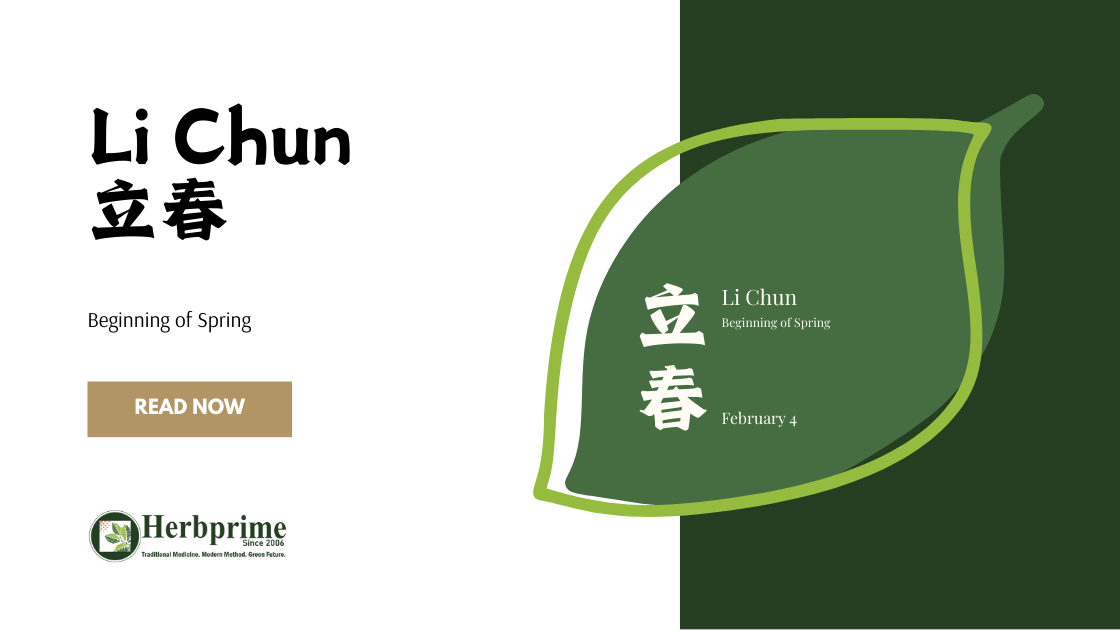 Lichun (立春) marks the first of the 24 Solar Terms and signals the energetic transition from winter’s storage to spring’s gradual growth.