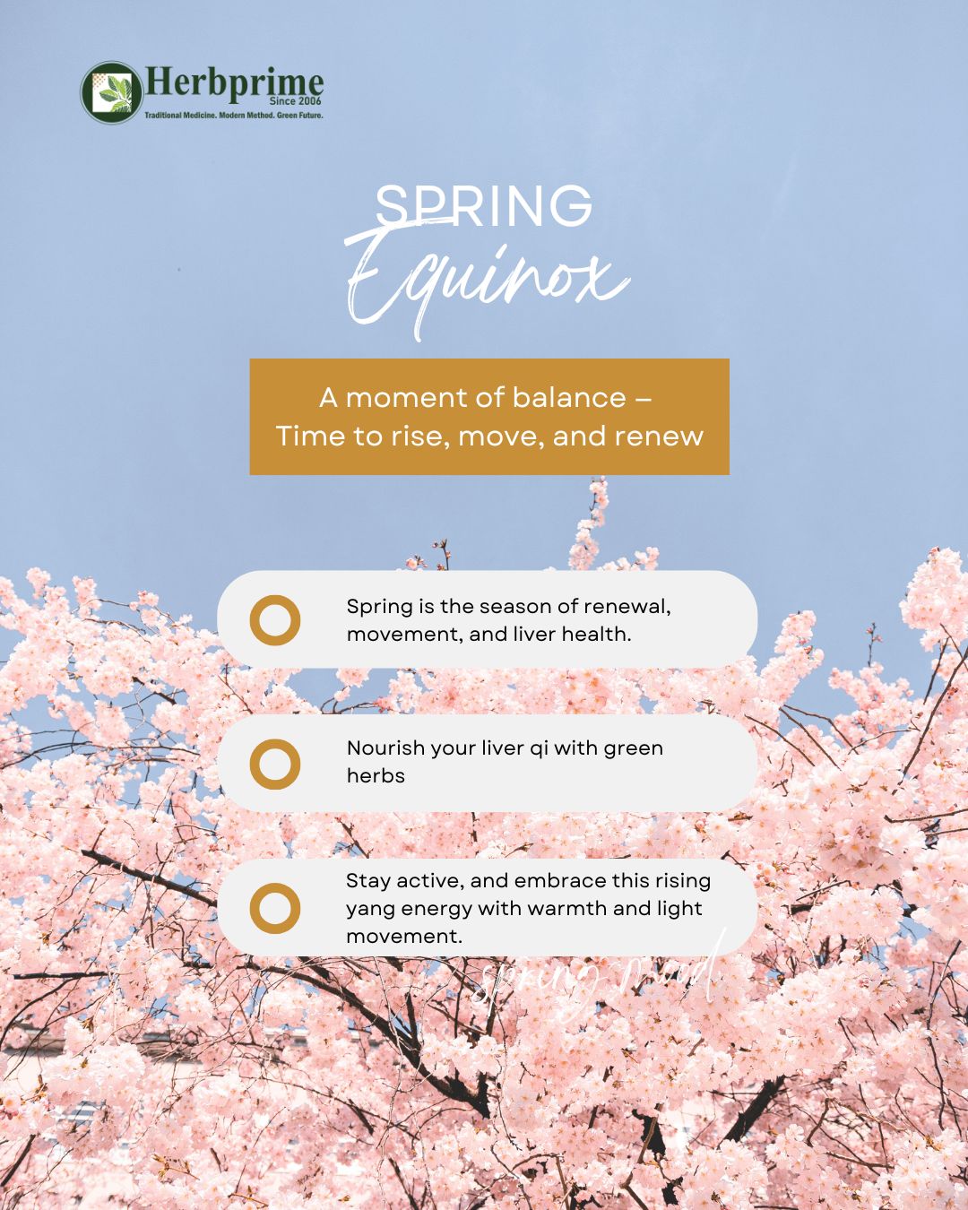 Spring Equinox and Traditional Chinese Medicine: How to Restore Balance and Boost Wellness