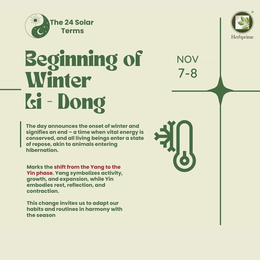 立冬 (lìdōng) Nov 7-8 - Embracing the Beginning of Winter - Herbprime