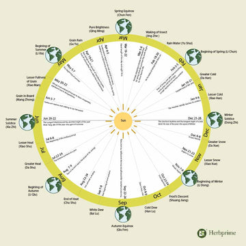 Navigating Nature's Calendar: A Comprehensive Guide to China's 24 Solar Terms - Herbprime