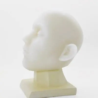 Silicon Full Head Model-herbprime