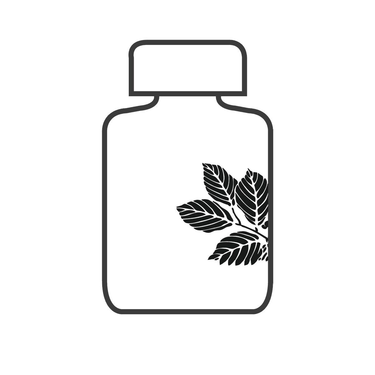 Du Huo 100g|Angelica Root|獨活 - Herbprime